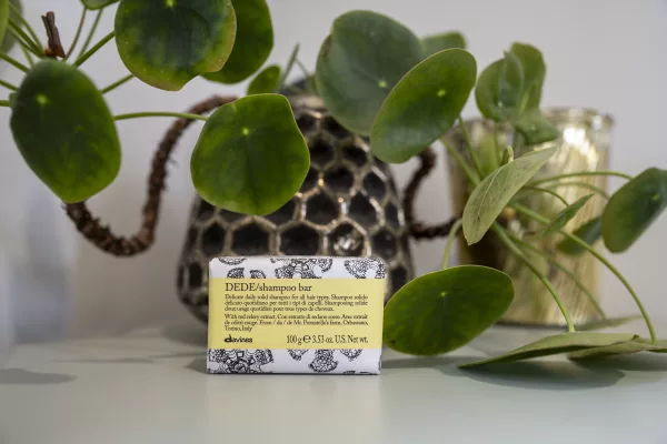 Villa no cottenchy - Coiffeur près d'Amiens - Davines DEDE / Shampoo Bar