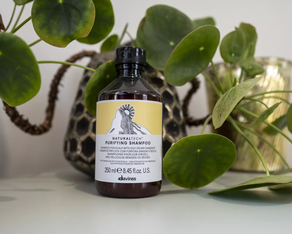 Villa no cottenchy - Coiffeur près d'Amiens - Davines purifying shampoo